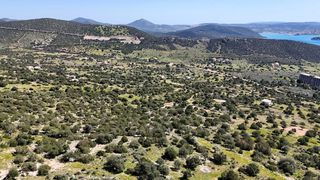 Οικόπεδο 1.134 τ.μ. για πώληση, Αργολίδα, Κρανίδι-thumb-9