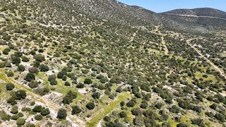 Οικόπεδο 1.134 τ.μ. για πώληση, Αργολίδα, Κρανίδι-thumb-11