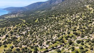 Οικόπεδο 1.134 τ.μ. για πώληση, Αργολίδα, Κρανίδι-thumb-15