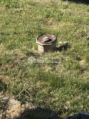 Μονοκατοικία 76 τ.μ. προς πώληση, Αρτεμίσιο Ζακύνθου-thumb-6