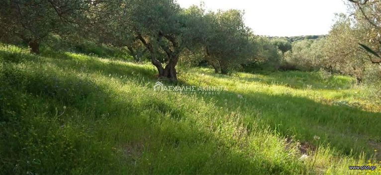 Parcel 2.500 sqm for sale, Heraklion Prefecture, Arkalochori