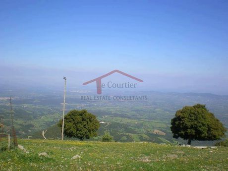 Parcel 32.000 sqm for sale