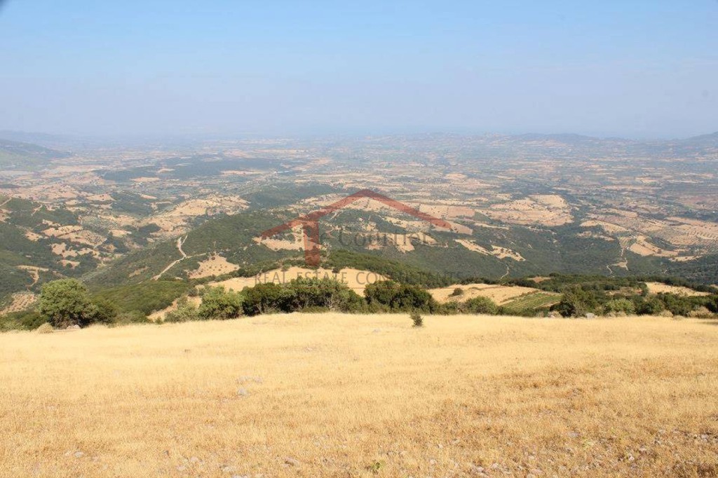 Αγροτεμάχια 32.000 τ.μ. προς πώληση, Καλούσι