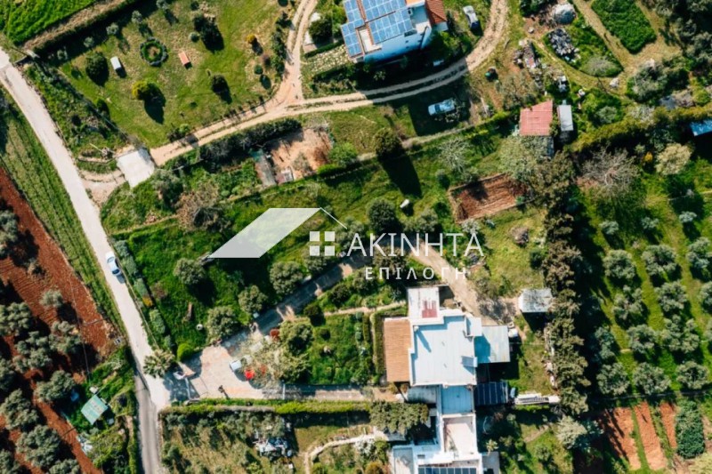 Μονοκατοικία 270 τ.μ. πρός πώληση, Εβρος, Αλεξανδρούπολη