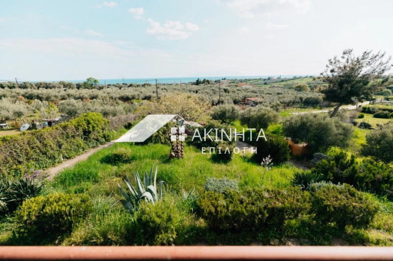Μονοκατοικία 270 τ.μ. πρός πώληση, Εβρος, Αλεξανδρούπολη