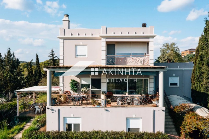 Μονοκατοικία 270 τ.μ. πρός πώληση, Εβρος, Αλεξανδρούπολη