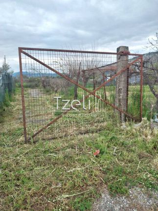 Land plot 981 sqm for sale, Aetolia & Acarnania, Aitoliko