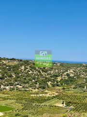 Οικόπεδο 650 τ.μ. για πώληση