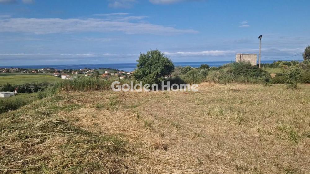 Αγροτεμάχια 1.734 τ.μ. προς πώληση, Νέα Ποτίδαια