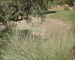 Οικόπεδο 728 τ.μ. για πώληση