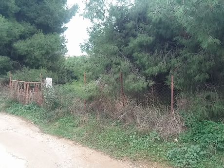 Land plot 251 sqm for sale