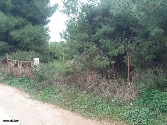 Land plot 251 sqm for sale, Athens - East, Artemida (loutsa)