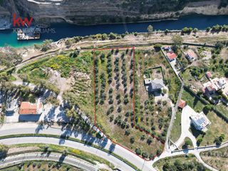 Οικόπεδο 7.700 τ.μ. για πώληση