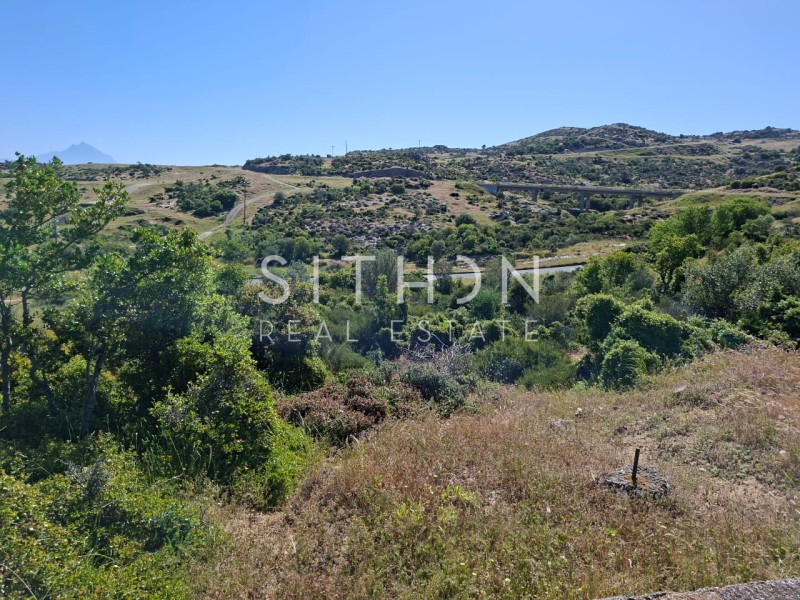 Οικόπεδο 500 τ.μ. προς πώληση, Σκάλα Συκέας