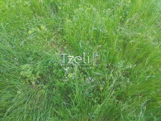 Οικόπεδο 522 τ.μ. για πώληση, Αχαΐα, Ρίο-thumb-2