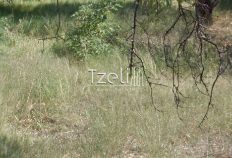 Αγροτεμάχια 181 τ.μ. για πώληση