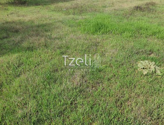 Land plot 1.294 sqm for sale, Achaia, Movri