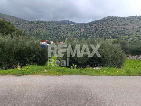 Οικόπεδο 438 τ.μ. προς πώληση