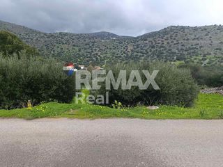 Οικόπεδο 438 τ.μ. για πώληση