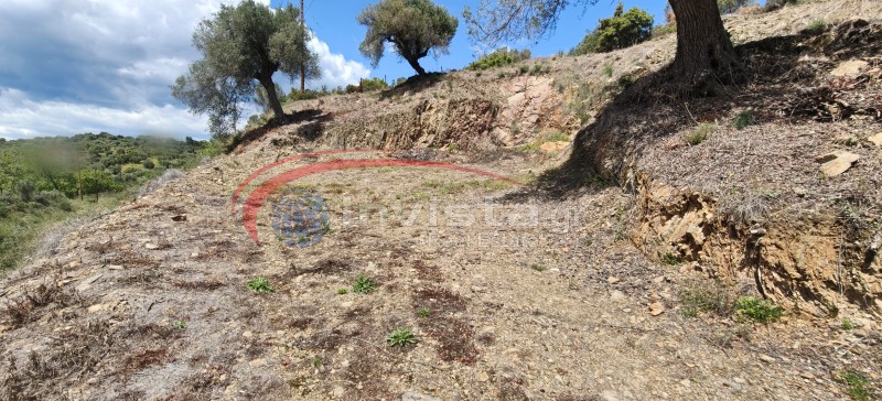 Αγροτεμάχια 789 τ.μ. προς πώληση, Παραλία Νικήτης