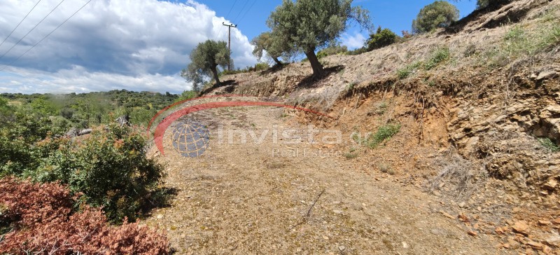 Αγροτεμάχια 789 τ.μ. προς πώληση, Παραλία Νικήτης