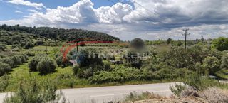 Αγροτεμάχια 789 τ.μ. για πώληση
