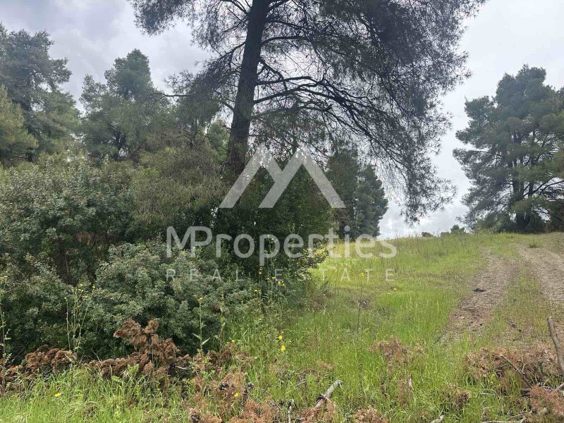 Αγροτεμάχια 4.963 τ.μ. προς πώληση, Σίβηρη