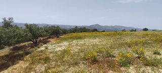 Αγροτεμάχια 2.298 τ.μ. για πώληση, Ν. Ηρακλείου, Μοίρες-thumb-5