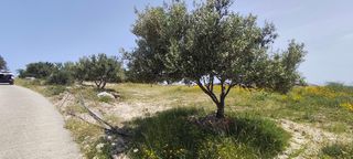 Αγροτεμάχια 2.298 τ.μ. για πώληση, Ν. Ηρακλείου, Μοίρες-thumb-6