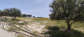 Αγροτεμάχια 2.298 τ.μ. για πώληση, Ν. Ηρακλείου, Μοίρες-thumb-7