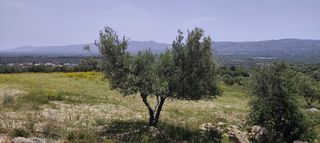 Αγροτεμάχια 2.298 τ.μ. για πώληση, Ν. Ηρακλείου, Μοίρες-thumb-9