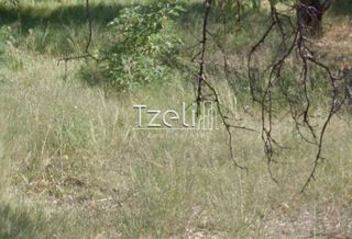 Αγροτεμάχια 2.207 τ.μ. για πώληση