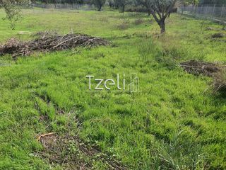 Οικόπεδο 2.489 τ.μ. για πώληση, Αχαΐα, Ρίο-thumb-4