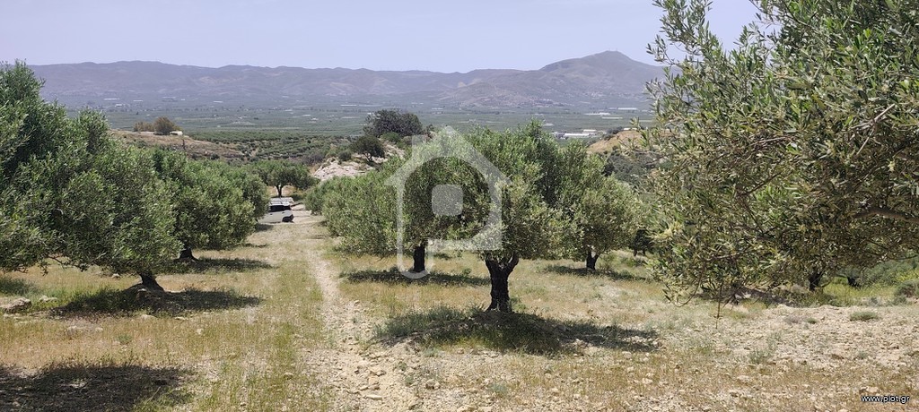 Αγροτεμάχια 1.947 τ.μ. πρός πώληση, Ν. Ηρακλείου, Μοίρες