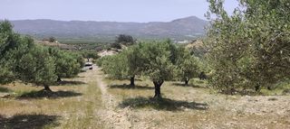 Αγροτεμάχια 1.947 τ.μ. για πώληση, Ν. Ηρακλείου, Μοίρες-thumb-3