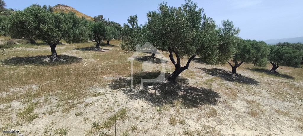 Αγροτεμάχια 1.947 τ.μ. για πώληση, Ν. Ηρακλείου, Μοίρες