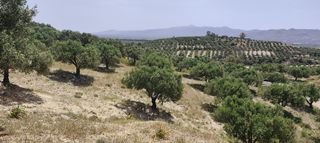Αγροτεμάχια 1.947 τ.μ. για πώληση, Ν. Ηρακλείου, Μοίρες-thumb-8