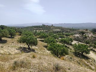 Αγροτεμάχια 1.947 τ.μ. για πώληση, Ν. Ηρακλείου, Μοίρες-thumb-9