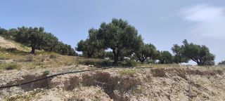 Αγροτεμάχια 1.947 τ.μ. για πώληση, Ν. Ηρακλείου, Μοίρες-thumb-12