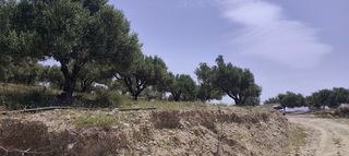 Αγροτεμάχια 1.947 τ.μ. για πώληση, Ν. Ηρακλείου, Μοίρες-thumb-13