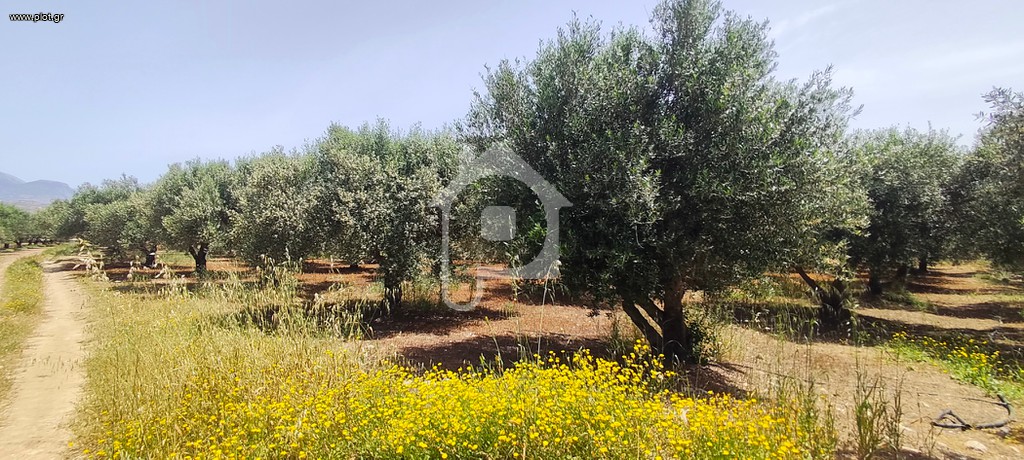 Αγροτεμάχια 1.209 τ.μ. πρός πώληση, Ν. Ηρακλείου, Μοίρες
