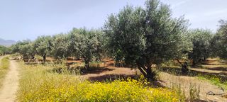 Αγροτεμάχια 1.209 τ.μ. για πώληση, Ν. Ηρακλείου, Μοίρες-thumb-4
