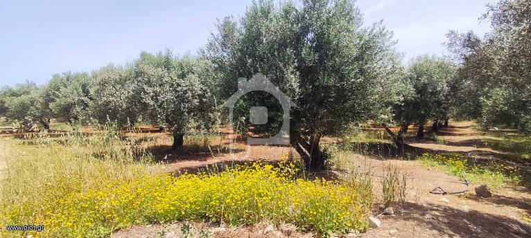 Αγροτεμάχια 1.209 τ.μ. για πώληση, Ν. Ηρακλείου, Μοίρες