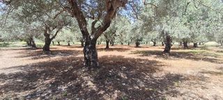 Αγροτεμάχια 1.209 τ.μ. για πώληση, Ν. Ηρακλείου, Μοίρες-thumb-5