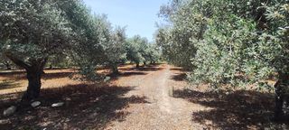 Αγροτεμάχια 1.209 τ.μ. για πώληση, Ν. Ηρακλείου, Μοίρες-thumb-6