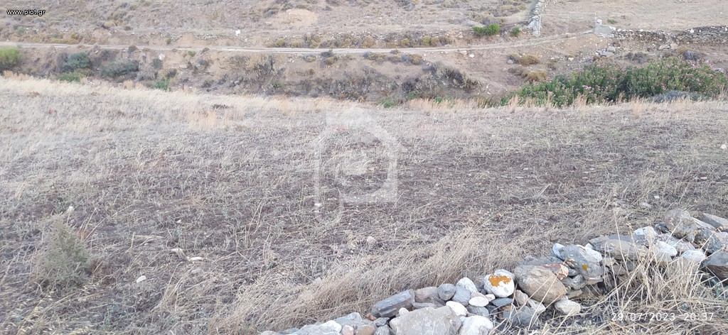 Αγροτεμάχια 7.762 τ.μ. προς πώληση, Μάρπησσα
