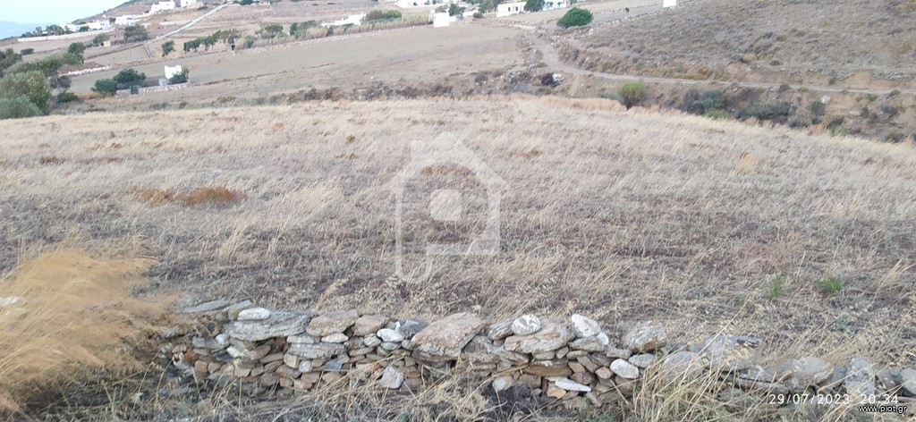 Αγροτεμάχια 7.762 τ.μ. προς πώληση, Μάρπησσα