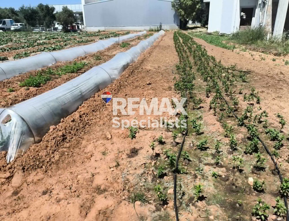 Οικόπεδο 11.000 τ.μ. προς πώληση, Μουρνιές Ελ. Βενιζέλου