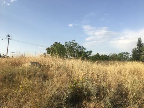 Αγροτεμάχια 13.000 τ.μ. προς πώληση