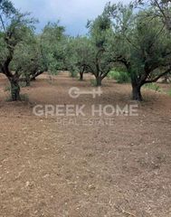 Οικόπεδο 3.200 τ.μ. για πώληση